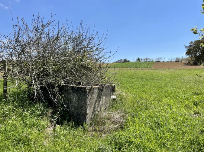 Quinta T1 para Venda em Lourinhã e Atalaia Foto 26