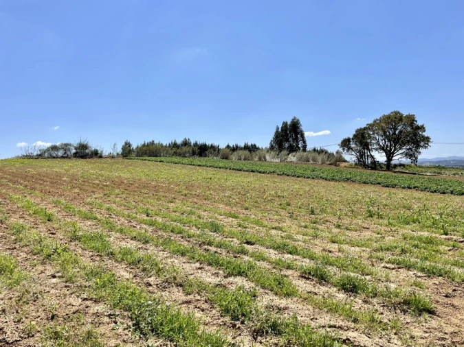 Quinta T1 para Venda em Lourinhã e Atalaia Foto 39