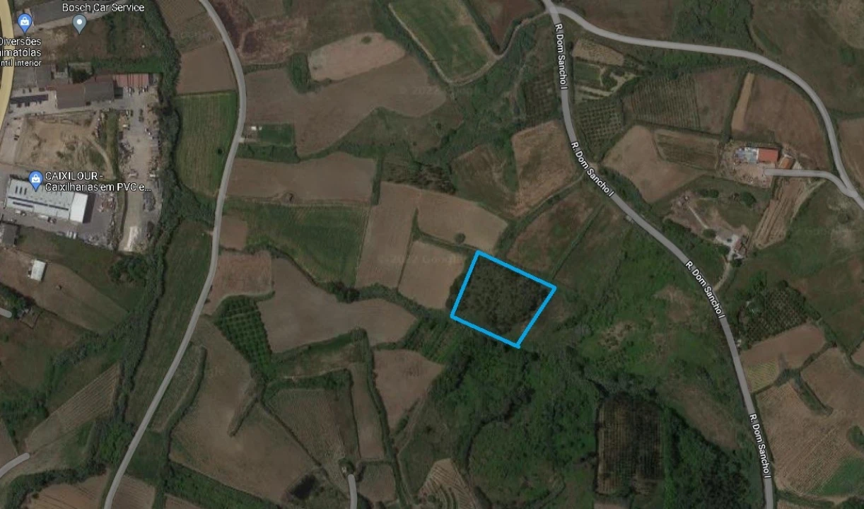 Terreno Agricola ou Rústico para Venda em Lourinhã e Atalaia Foto 1