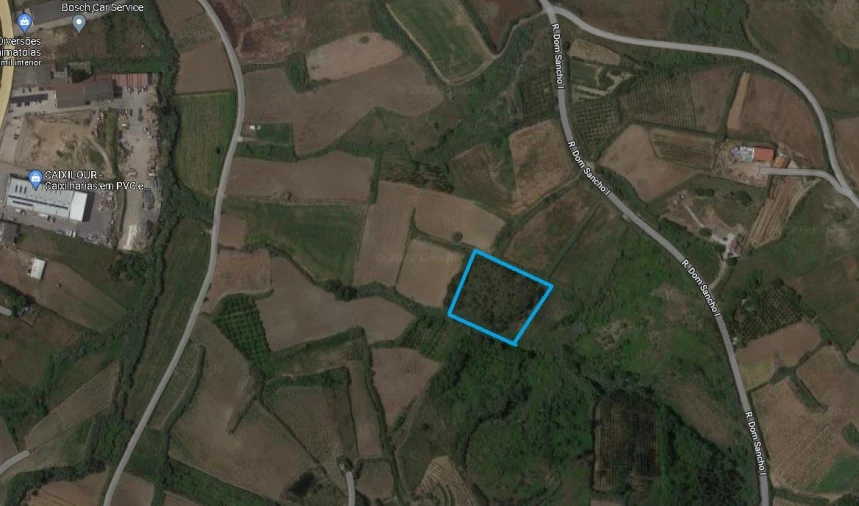 Terreno Agricola ou Rústico para Venda em Lourinhã e Atalaia Foto 1