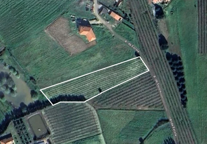 Terreno para Venda em Miragaia e Marteleira Foto 1