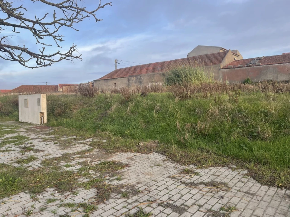 Terreno para Venda em Lourinhã e Atalaia Foto 3