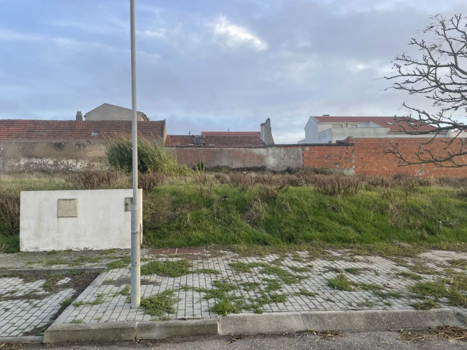 Terreno para Venda em Lourinhã e Atalaia Foto 6