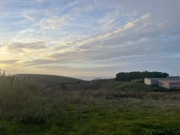 Terreno para Venda em Lourinhã e Atalaia