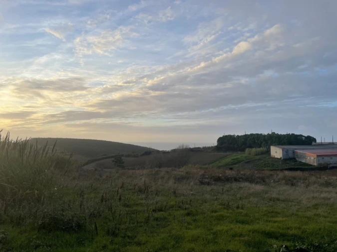 Terreno para Venda em Lourinhã e Atalaia Foto 4
