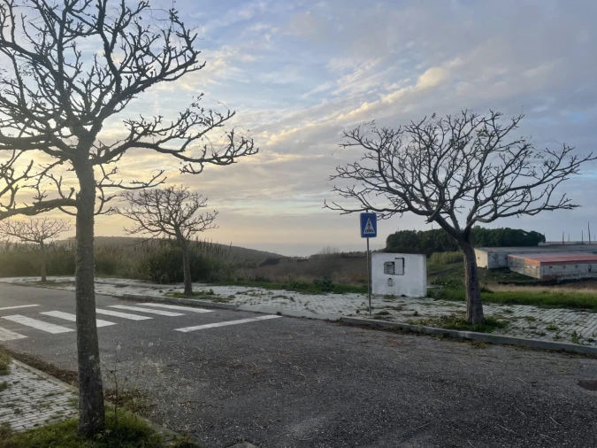 Terreno para Venda em Lourinhã e Atalaia Foto 5