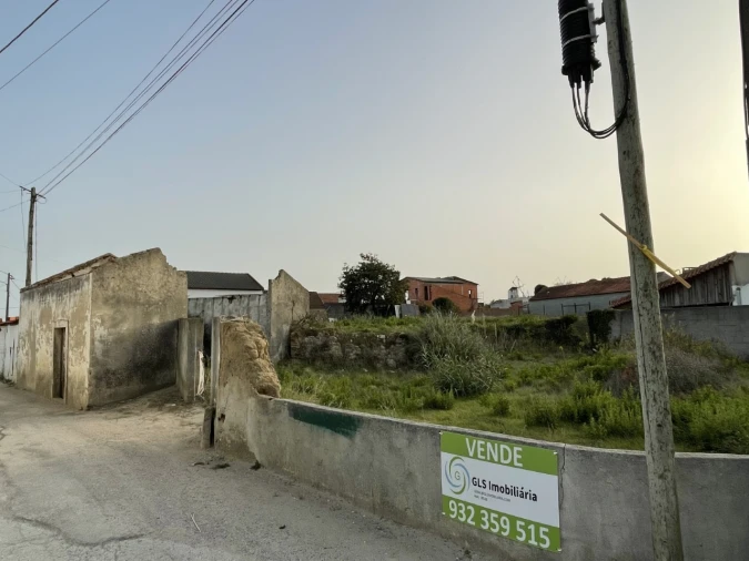 Terreno para Venda em Moita dos Ferreiros