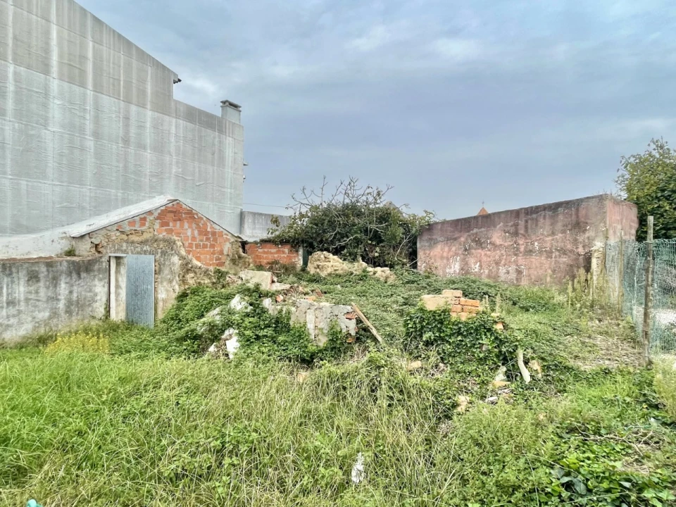 Terreno para Venda em Bombarral e Vale Covo Foto 3