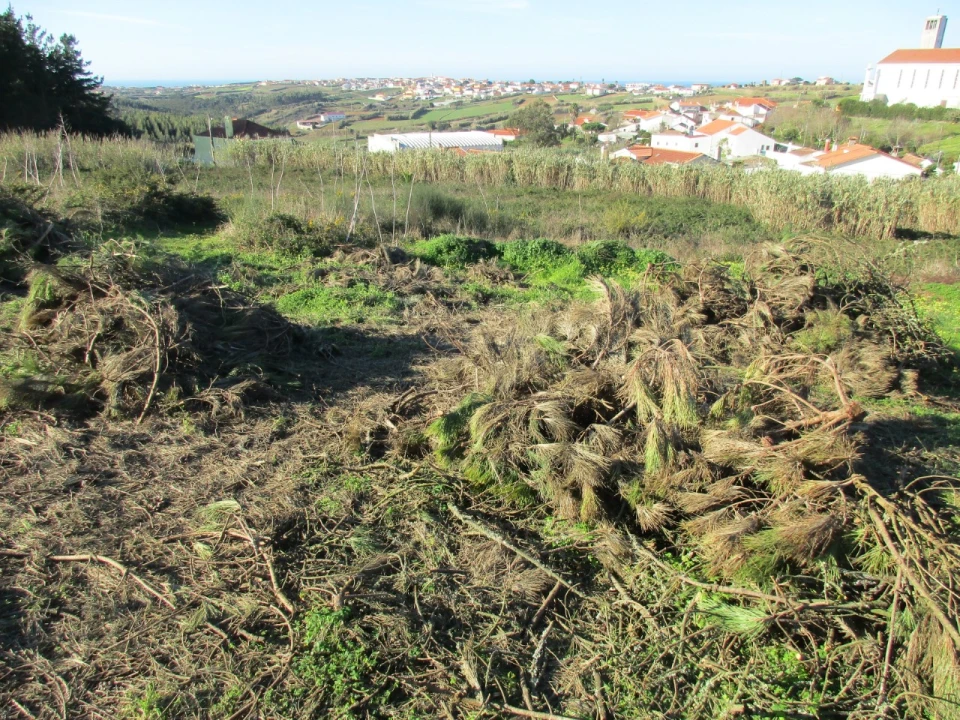 Terreno para Venda em Santa Barbara Foto 2