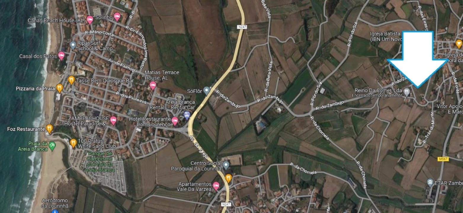 Terreno para Venda em Lourinhã e Atalaia Foto 3