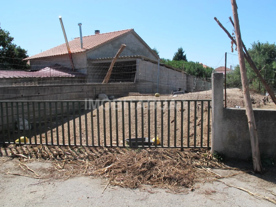 Terreno para Venda em São João de Areias Foto 4