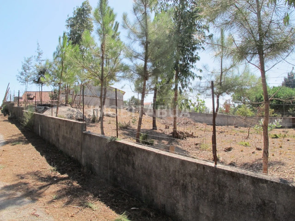 Terreno para Venda em São João de Areias Foto 6