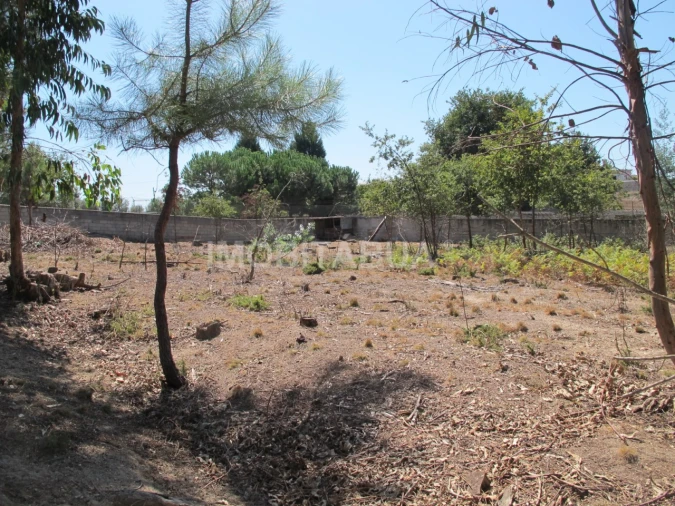 Terreno para Venda em São João de Areias Foto 1