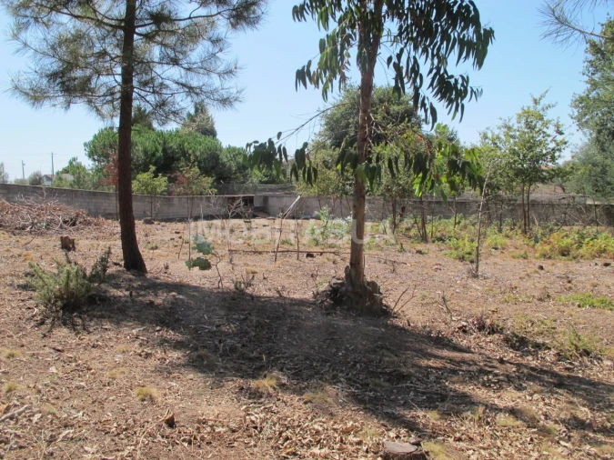 Terreno para Venda em São João de Areias Foto 2