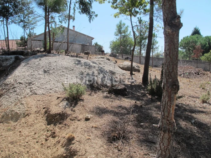 Terreno para Venda em São João de Areias Foto 3