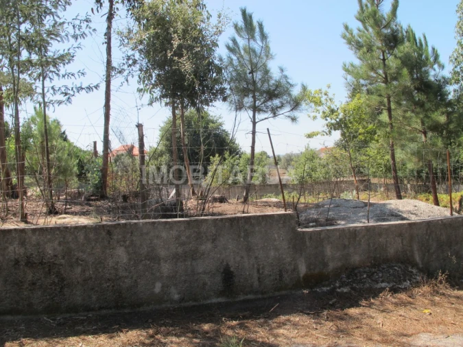 Terreno para Venda em São João de Areias Foto 5