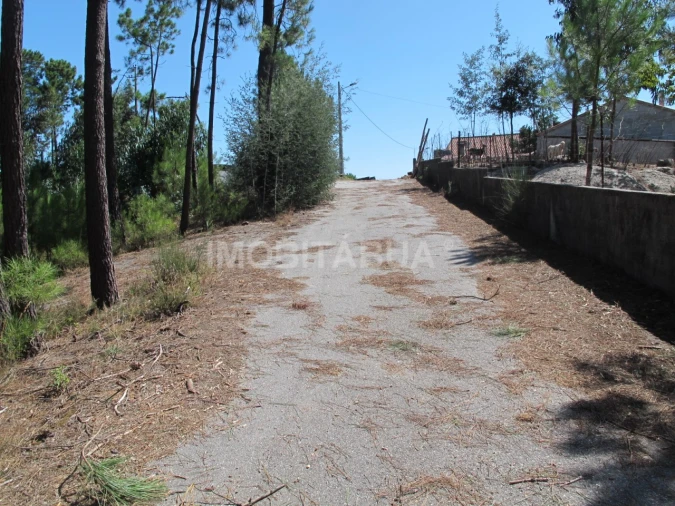 Terreno para Venda em São João de Areias Foto 7