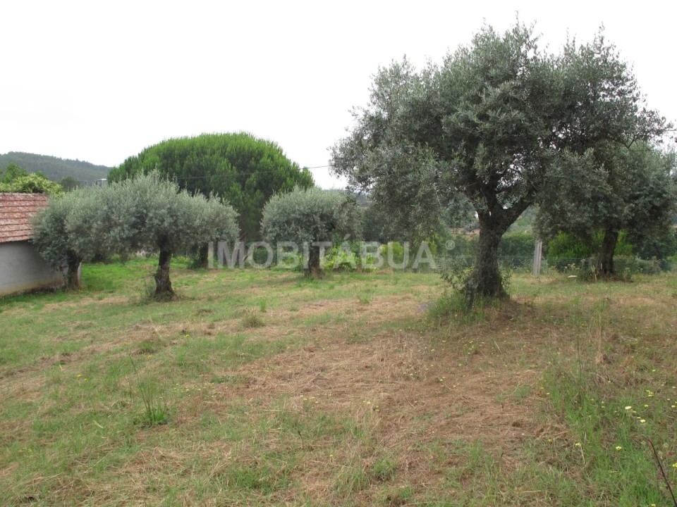 Moradia T3 para Venda em Espariz e Sinde Foto 4