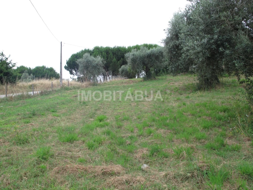 Moradia T3 para Venda em Espariz e Sinde Foto 22