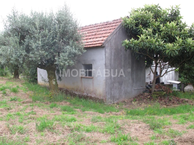 Moradia T3 para Venda em Espariz e Sinde Foto 3