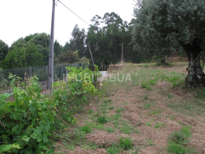 Moradia T3 para Venda em Espariz e Sinde Foto 5