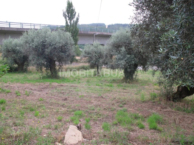 Moradia T3 para Venda em Espariz e Sinde Foto 21