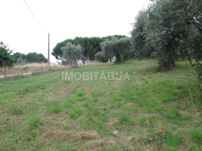 Moradia T3 para Venda em Espariz e Sinde Foto 22