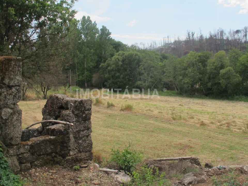 Quinta para Venda em Mouraz e Vila Nova da Rainha Foto 7