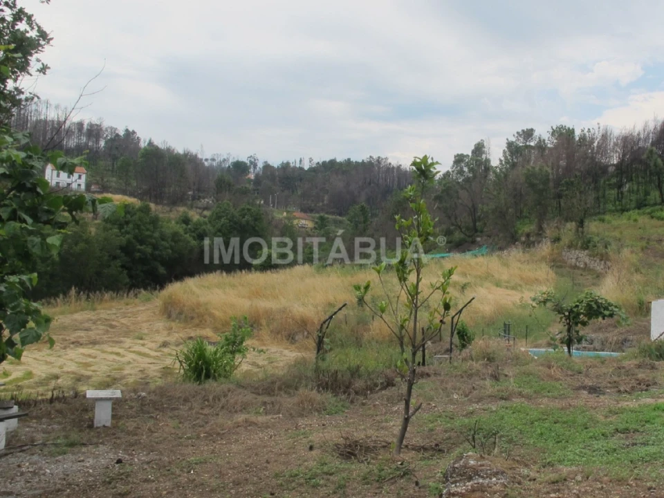 Quinta para Venda em Mouraz e Vila Nova da Rainha Foto 3