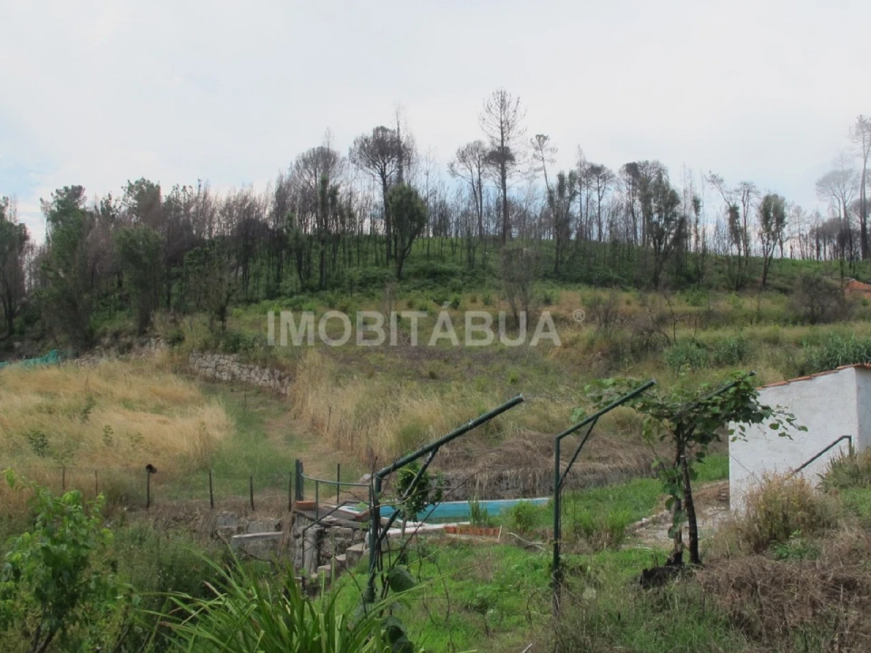 Quinta para Venda em Mouraz e Vila Nova da Rainha Foto 8