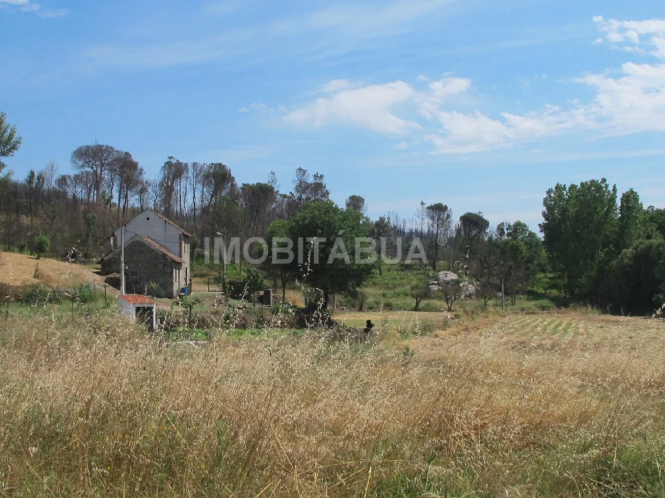 Quinta para Venda em Mouraz e Vila Nova da Rainha Foto 6