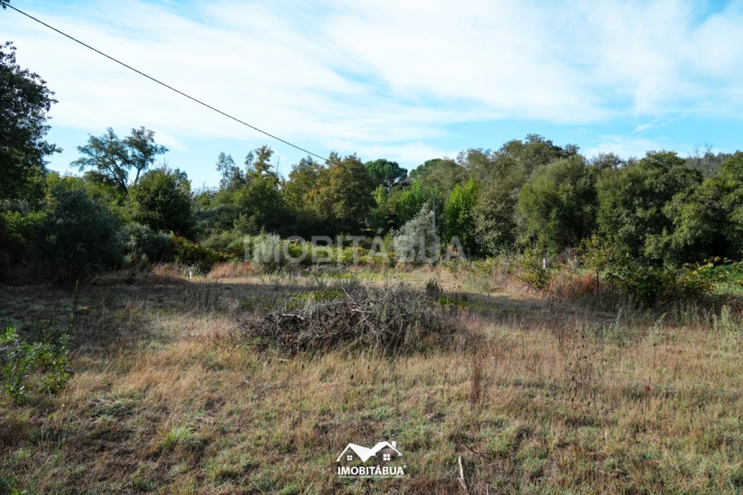 Quinta para Venda em Guardão Foto 11