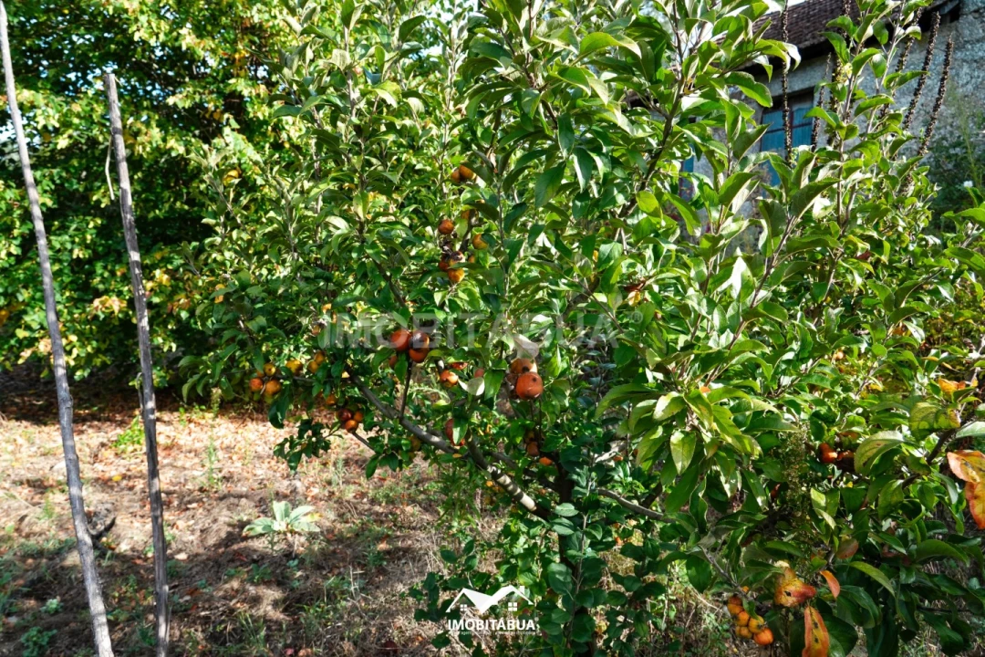 Quinta para Venda em Guardão Foto 15