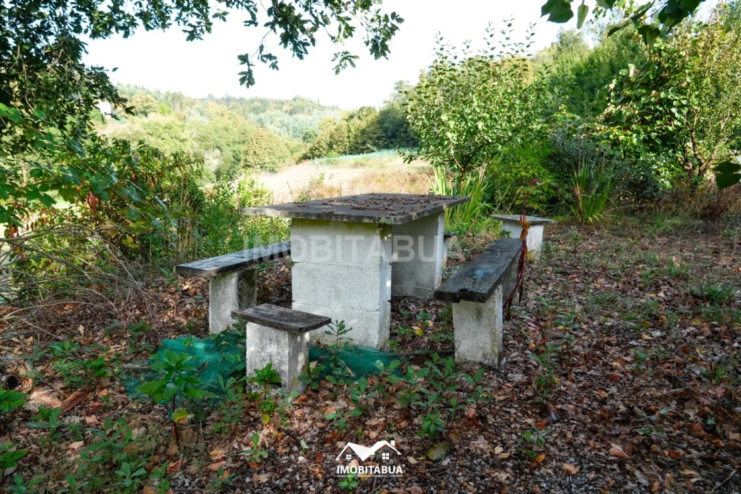 Quinta para Venda em Guardão Foto 16