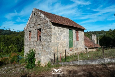 Quinta para Venda em Guardão