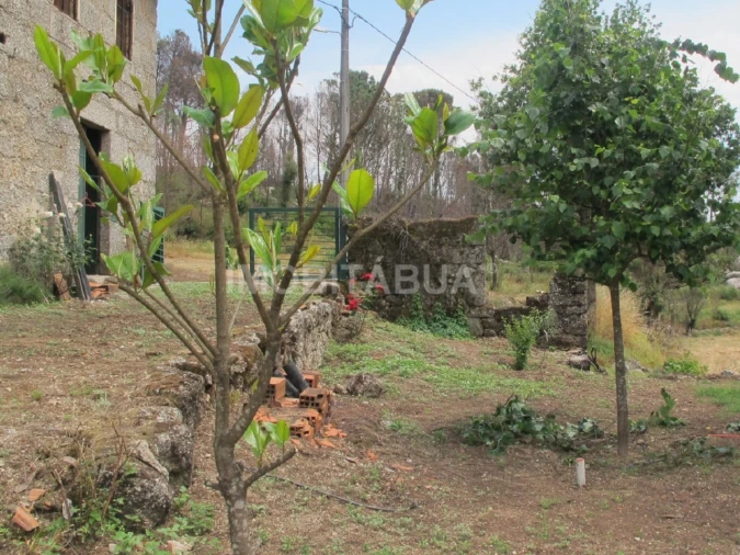 Quinta para Venda em Mouraz e Vila Nova da Rainha Foto 5
