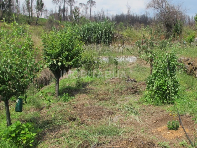 Quinta para Venda em Mouraz e Vila Nova da Rainha Foto 10