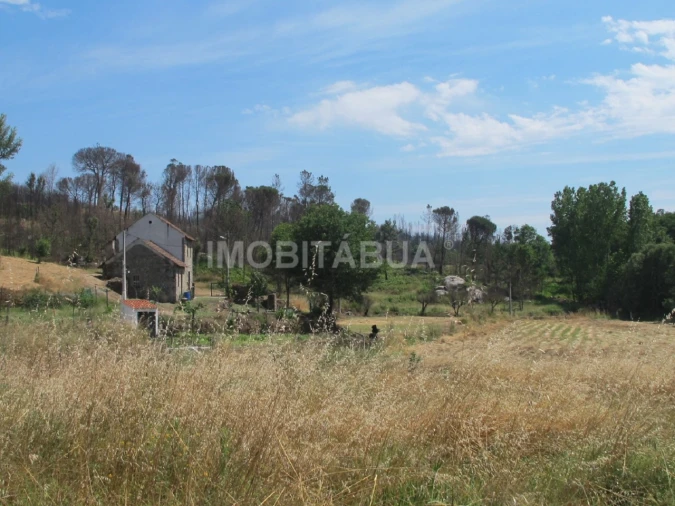 Quinta para Venda em Mouraz e Vila Nova da Rainha Foto 6