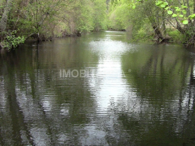 Quinta para Venda em Mouraz e Vila Nova da Rainha Foto 2