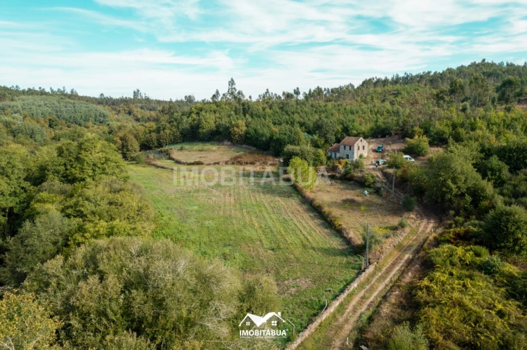 Quinta para Venda em Guardão Foto 30