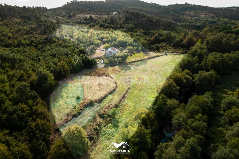 Quinta para Venda em Guardão Foto 33