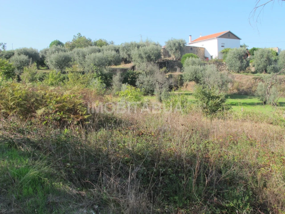 Terreno para Venda em Covas e Vila Nova de Oliveirinha Foto 7