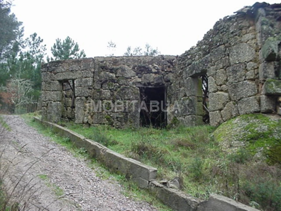 Terreno para Venda em Covas e Vila Nova de Oliveirinha Foto 6