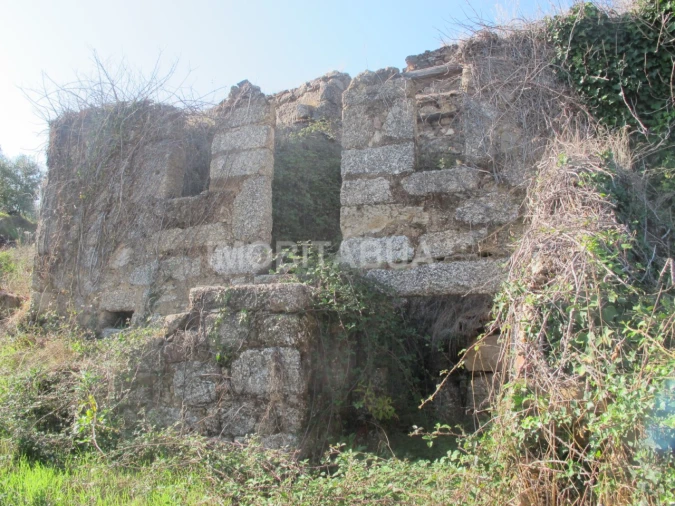 Terreno para Venda em Covas e Vila Nova de Oliveirinha Foto 3