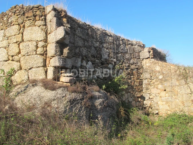 Terreno para Venda em Covas e Vila Nova de Oliveirinha Foto 5
