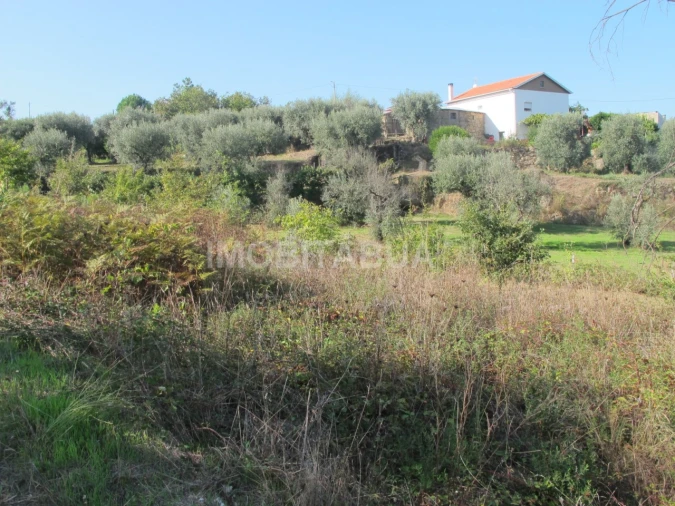 Terreno para Venda em Covas e Vila Nova de Oliveirinha Foto 7