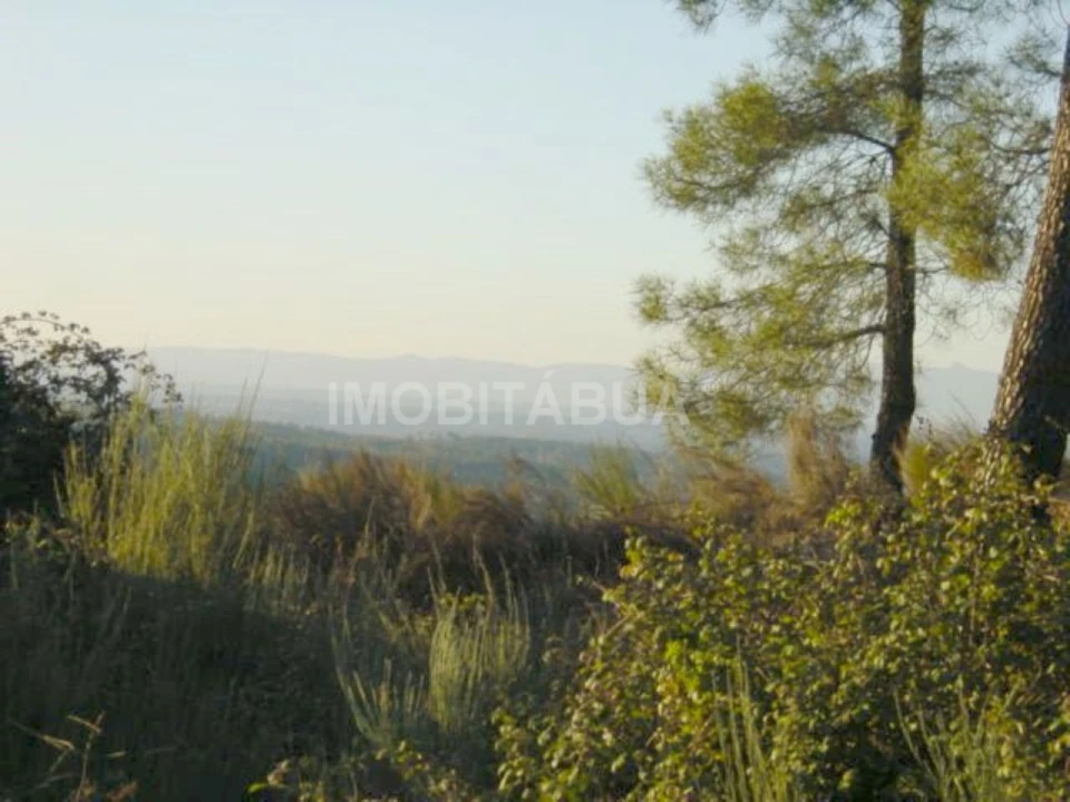 Terreno para Venda em Covas e Vila Nova de Oliveirinha Foto 1