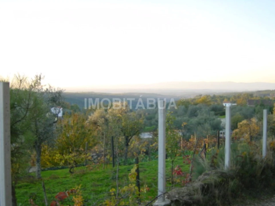 Terreno para Venda em Covas e Vila Nova de Oliveirinha Foto 2