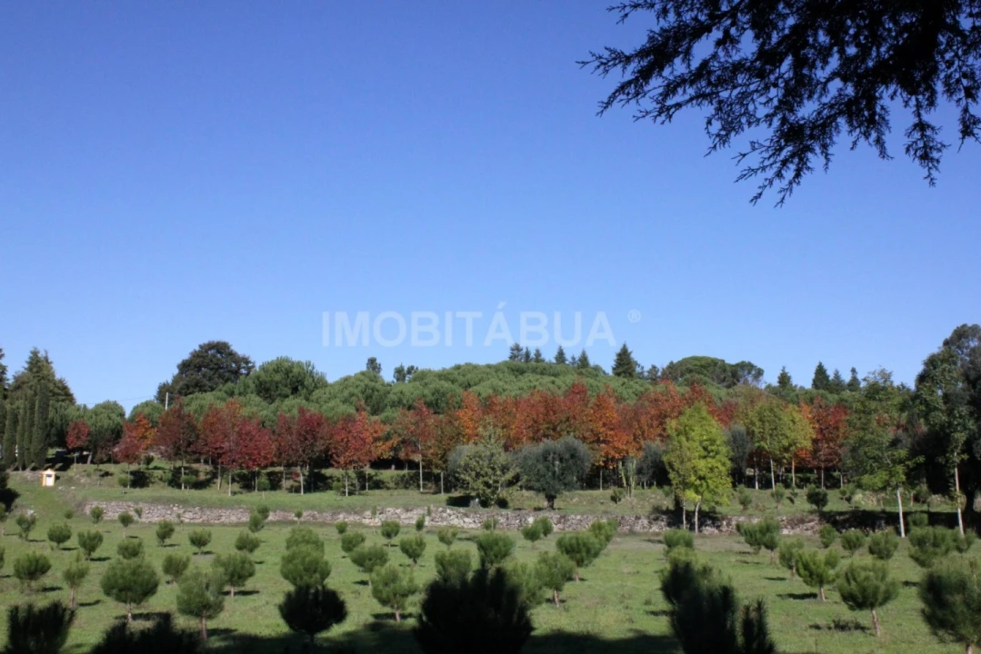Quinta para Venda em Currelos, Papízios e Sobral Foto 1