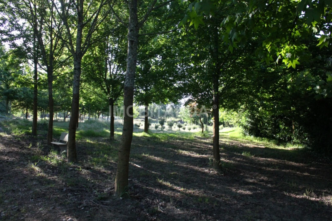 Quinta para Venda em Currelos, Papízios e Sobral Foto 2
